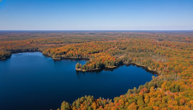 Best Tub To Shower Conversion pros in Ionia, MI