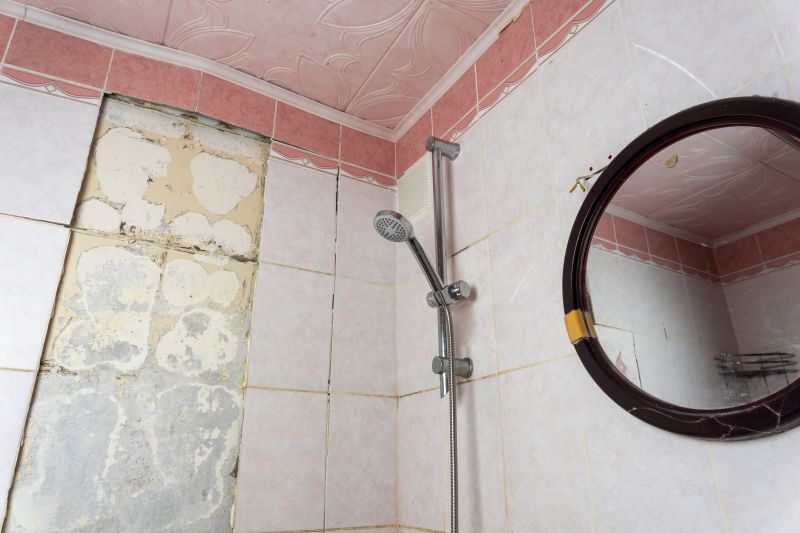 Top Shower Remodeling Companies in Caledonia, MI