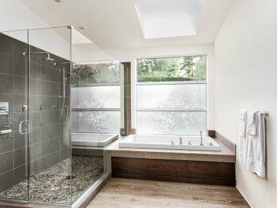Top Tub To Shower Conversion Companies in Grand Rapids, MI